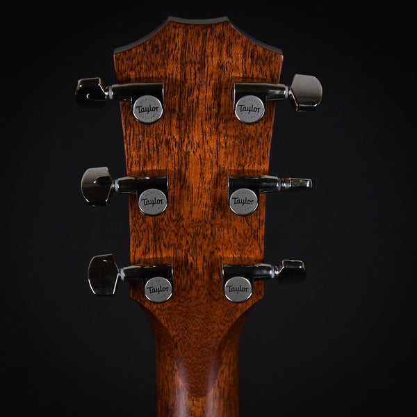 Taylor 314CE Sapele Back & Sides with V Class Bracing (1211293070)
