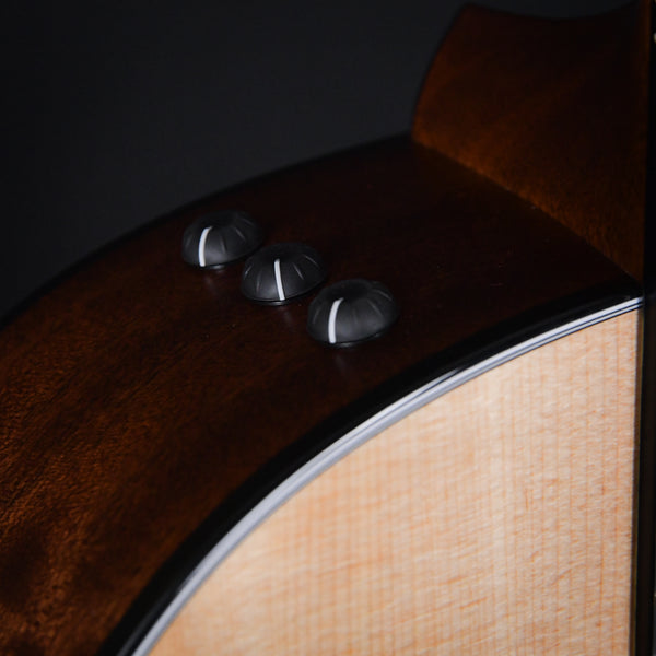 Taylor 314CE Sapele Back & Sides with V Class Bracing (1211293070)