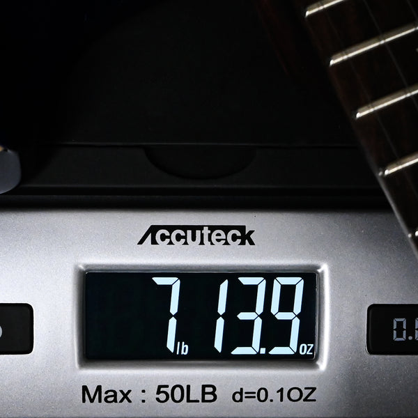 PRS Modern Eagle V Wood Library w/ 10-Top & Brazilian Rosewood Fingerboard Electric Guitar- Violet Blue Burst 2025 (0416653)