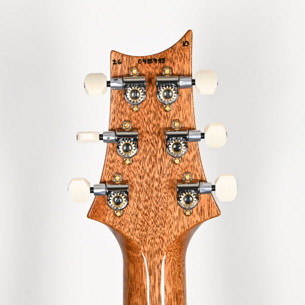 PRS DGT w/ 10-Top & Birds Inlays- Custom Color 2026 (0415493)