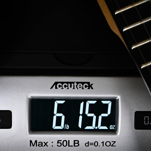 PRS SE Chleo Herman Li Signature- Mantis Burst 2025 (CTIH063902)