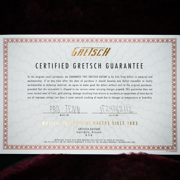 Gretsch Professional Tennessean Hollow Body w/ String-Thru Bigsby- Havana Burst w/ Nickel Hardware (JT24062112)