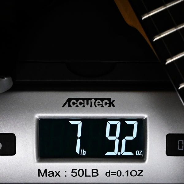 PRS CE 24 Electric Guitar- Custom Color 2025 (0414897)