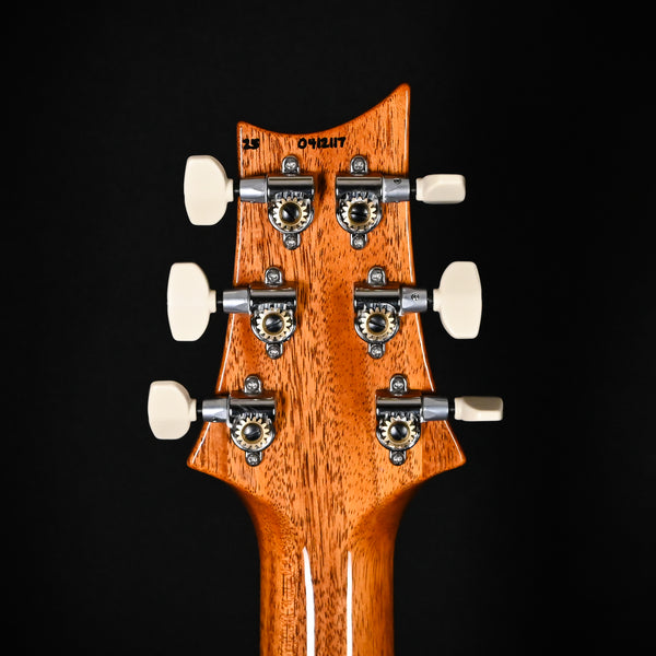 PRS Custom 24 w/ DMO Pickups- Custom Color 2025 (0412117)