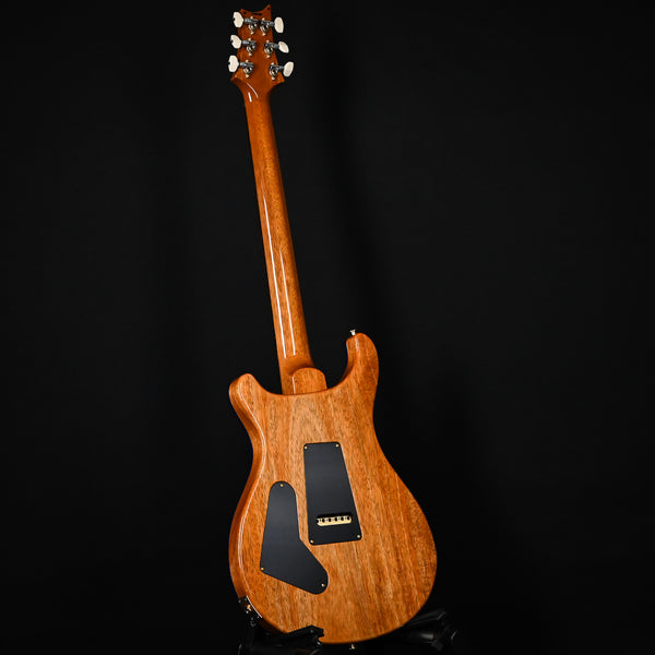 PRS Custom 24 w/ 10-Top & DMO Pickups- Custom Color 2025 (0418485)