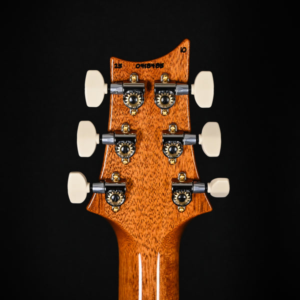 PRS Custom 24 w/ 10-Top & DMO Pickups- Custom Color 2025 (0418485)