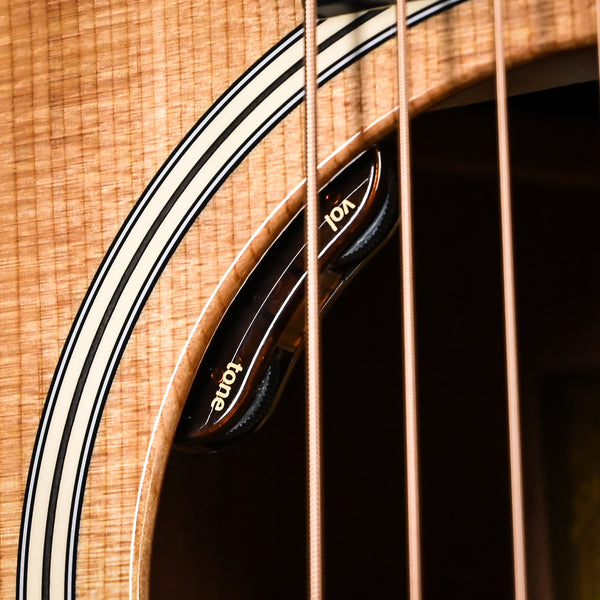 Taylor Gold Label 514e Acoustic/ Electric Guitar- Natural (1209295021)