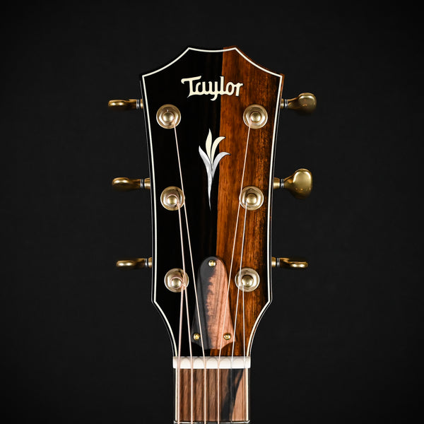 Taylor C14ce B6037 w/ Port Orford Cedar Top & Bocote Back and Sides Acoustic-Electric Guitar 2025 (1212175083) NAMM 2026