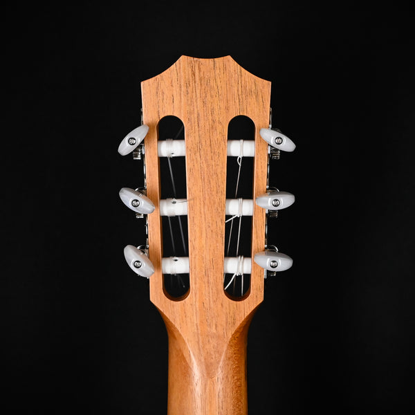 Taylor 112ce-N Nylon w/ Torrefied Spruce Top & Layered Sapele Back and Sides Acoustic-Electric Guitar 2025 (2212015524)