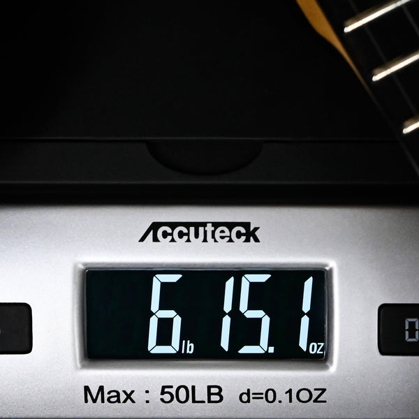 PRS SE Chleo Herman Li Signature- Charcoal Purple Burst 2026 (CTIH068665)