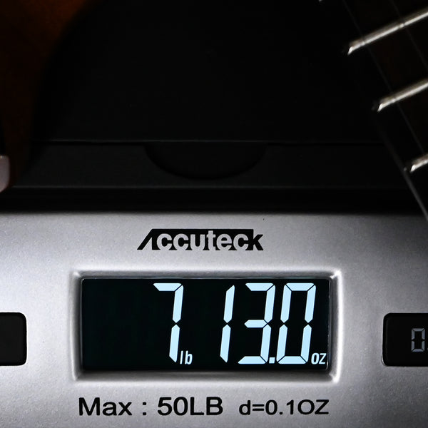 PRS Modern Eagle V Wood Library w/ 10-Top & Brazilian Rosewood Fingerboard Electric Guitar- Blue Fade w/ Blue Burst 2025 (0414983)