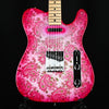 Fender Custom Shop Paisley Telecaster NOS, Masterbuilt Paul Waller - Silver Paisley Sparkle (R137719)