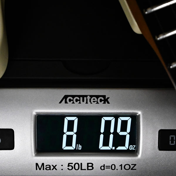 Suhr Mateus Asato Signture Series Classic T w/ Lollar Gold Foil Pickups, Tremolo & Premium Softshell Case- MA White 2025 (87291)