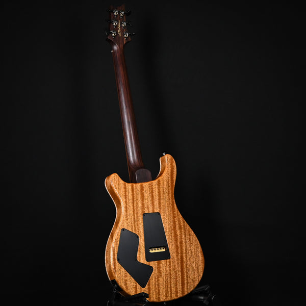 PRS Modern Eagle V Wood Library w/ 10-Top & Brazilian Rosewood Fingerboard Electric Guitar- Aquabluex 2025 (0416654)