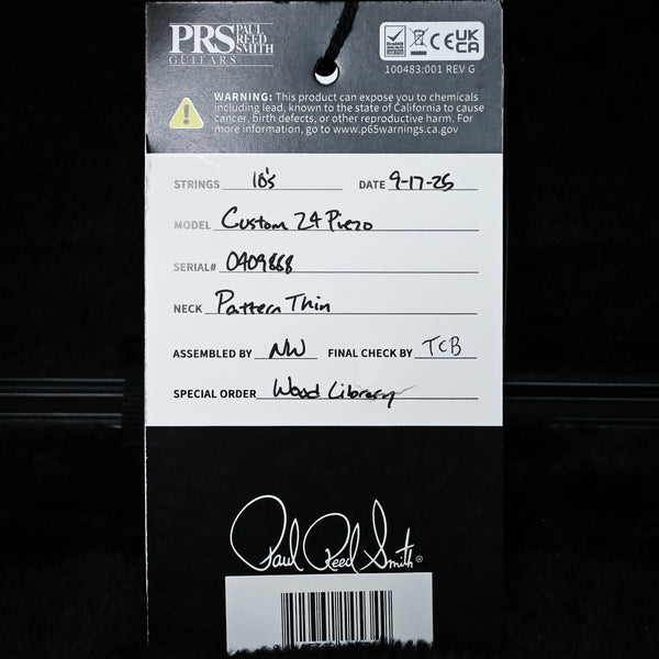 PRS Custom 24 Piezo Wood Library w/ 10-Top, Brazilian Rosewood, & DMO Pickups- Eriza Verde 2025 (0409888)