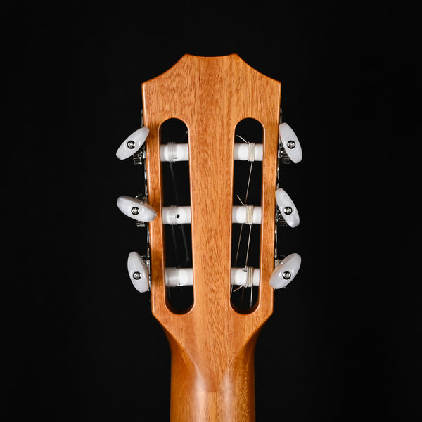 Taylor 814ce-N w/ Sitka Spruce Top & Indian Rosewood Back and Sides Acoustic/ Electric Guitar- Natural 2025 (1210085039)