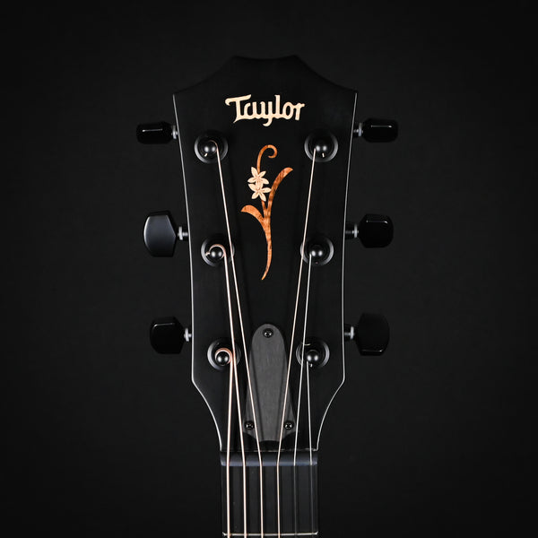 Taylor NAMM Customs 2025 C24ce B5050– Grand Auditorium (1202285097)