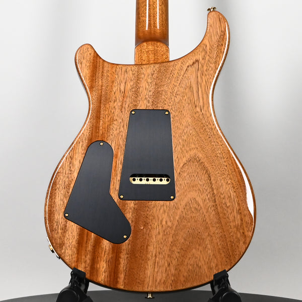 PRS Custom 24 w/ 10-Top & DMO Pickups- Custom Color 2025 (0418082)