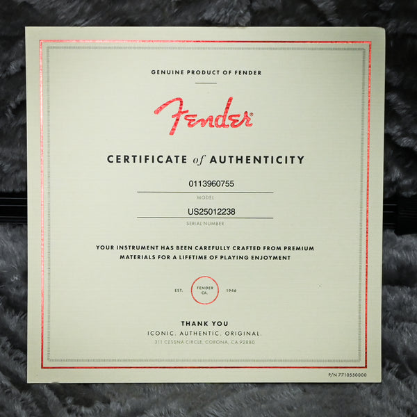 Fender American Professional II Telecaster Deluxe- Mercury (US25012238)