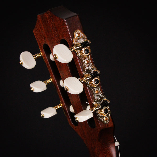 Taylor JMSM Jason Mraz Signature Nylon String Guitar Natural Red Cedar 2023 (1209073042)