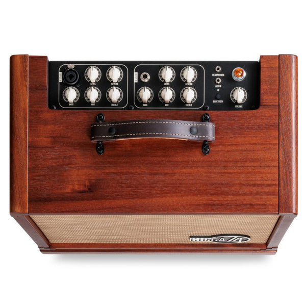 Taylor Circa 74 Amp - Mahogany - S/N C7403944