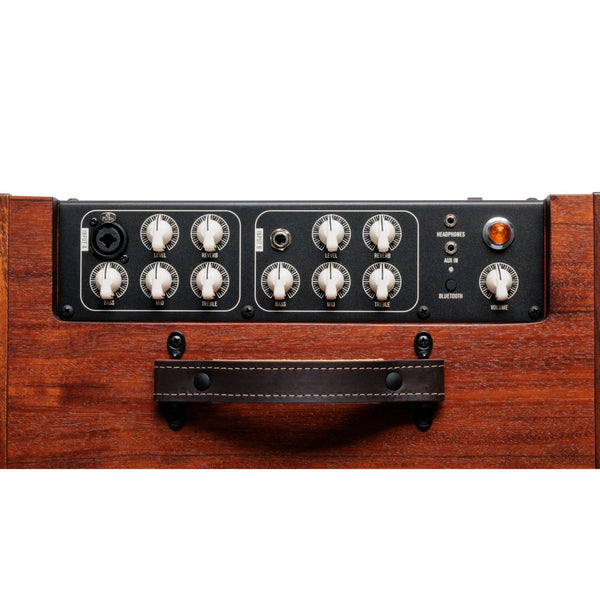 Taylor Circa 74 Amp - Mahogany - S/N C7403944