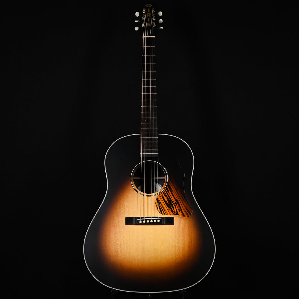 Iris DF "Dale Fairbanks" w/ Brazilian Rosewood Back & Sides and Fingerboard, Acoustic/ Electric (1754)