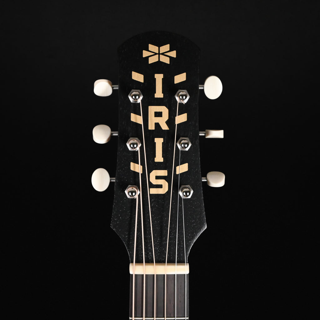 Iris DF "Dale Fairbanks" w/ Brazilian Rosewood Back & Sides and Fingerboard, Acoustic/ Electric (1754)