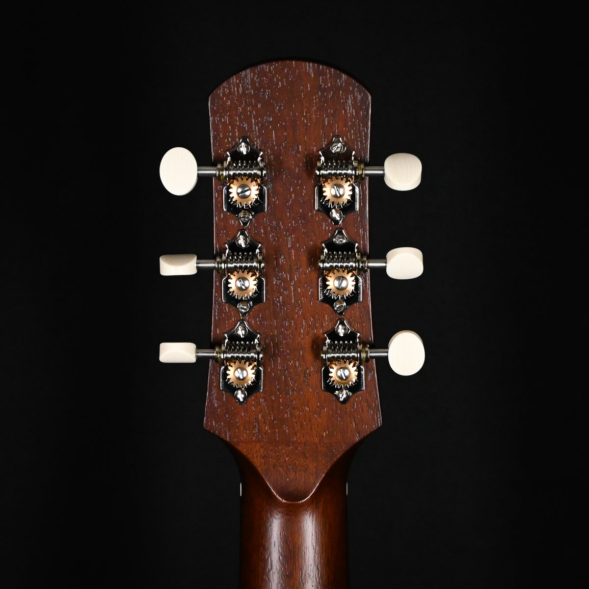 Iris DF "Dale Fairbanks" w/ Brazilian Rosewood Back & Sides and Fingerboard, Acoustic/ Electric (1754)