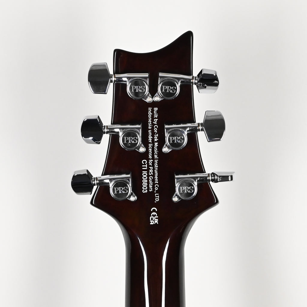 PRS SE DGT Standard David Grissom Electric Guitar- McCarty Tobacco Sunburst 2026 (CTII008803)