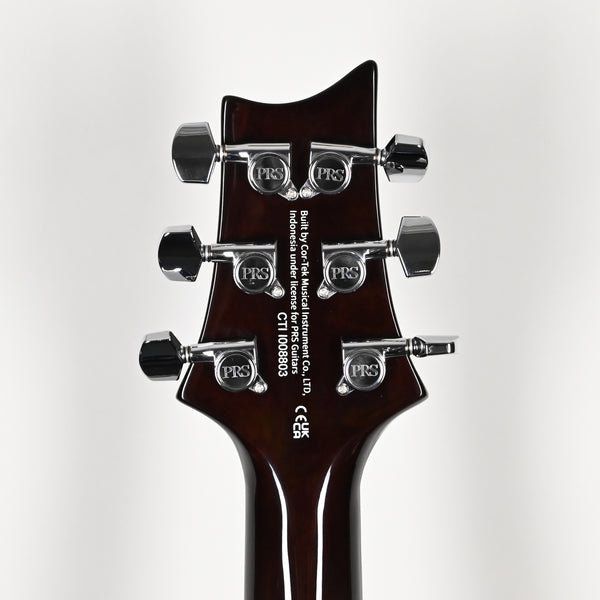PRS SE DGT Standard David Grissom Electric Guitar- McCarty Tobacco Sunburst 2026 (CTII008803)