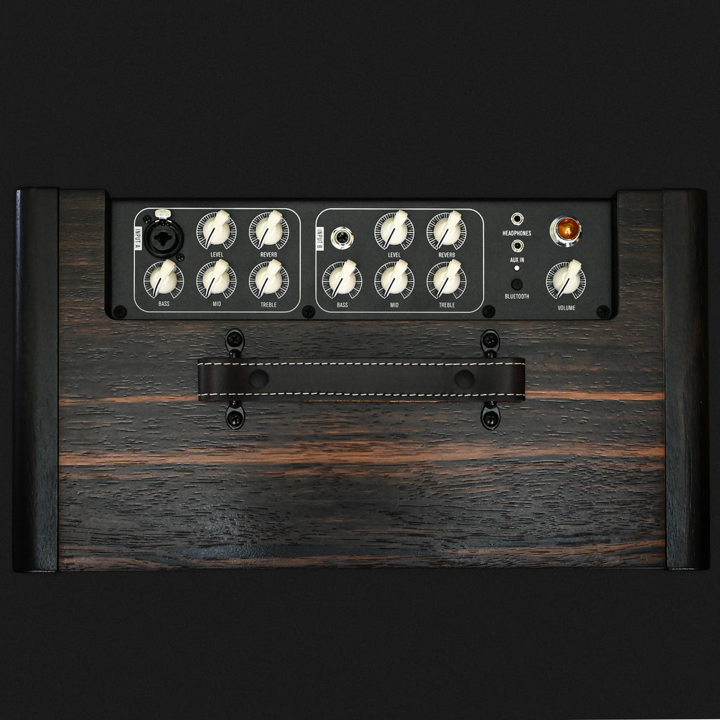 Taylor Circa 74 Amp - Macassar Ebony (C7402897)