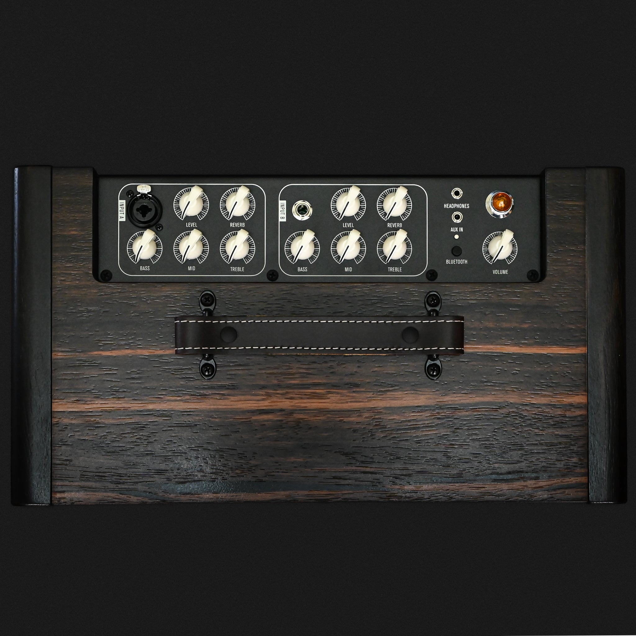 Taylor Circa 74 Amp - Macassar Ebony (C7402897)