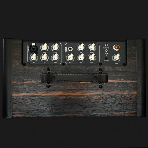 Taylor Circa 74 Amp - Macassar Ebony (C7402897)