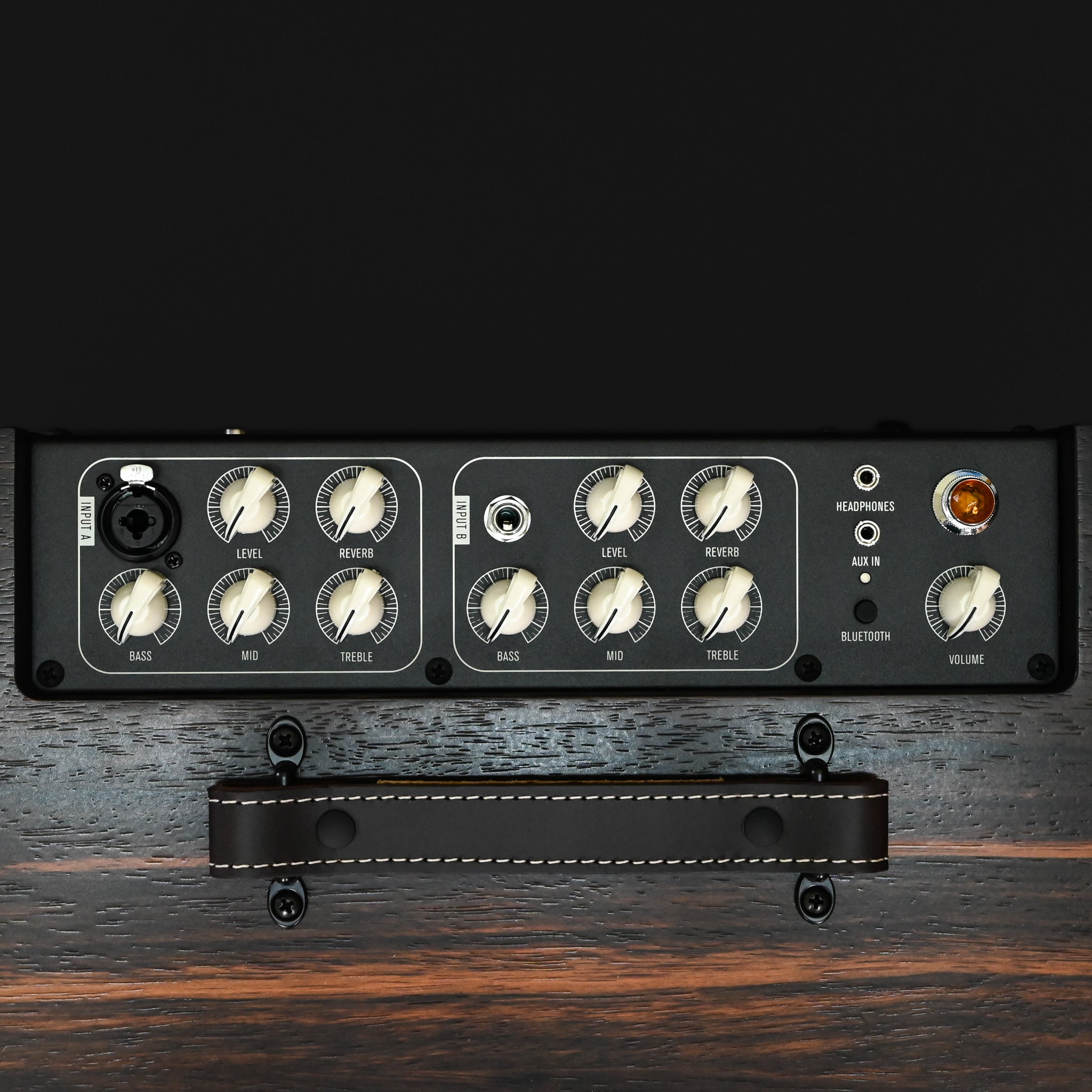 Taylor Circa 74 Amp - Macassar Ebony (C7402897)