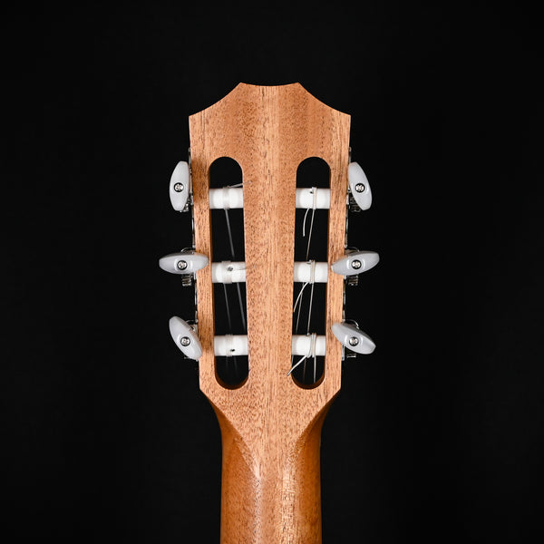 Taylor 214ce-N Nylon Acoustic Guitar (2211035304)