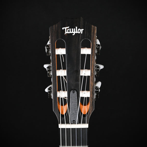 Taylor 214ce-N Nylon Acoustic Guitar (2211035304)