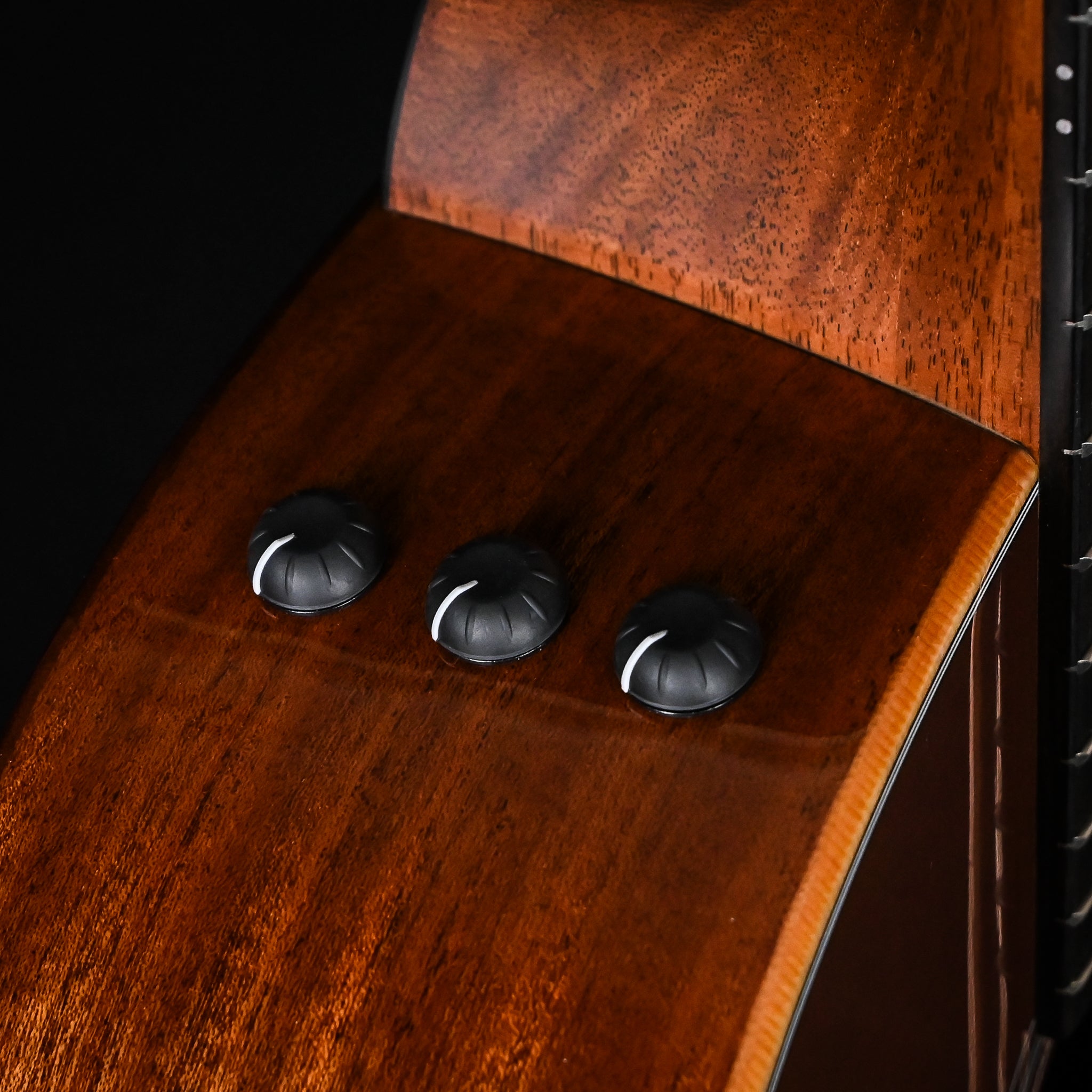 Taylor 354ce Studio Special Edition 12-String w/ Sitka Spruce Top & Sapele Back and Sides Acoustic/ Electric- Honeyburst 2026 (2202046389)