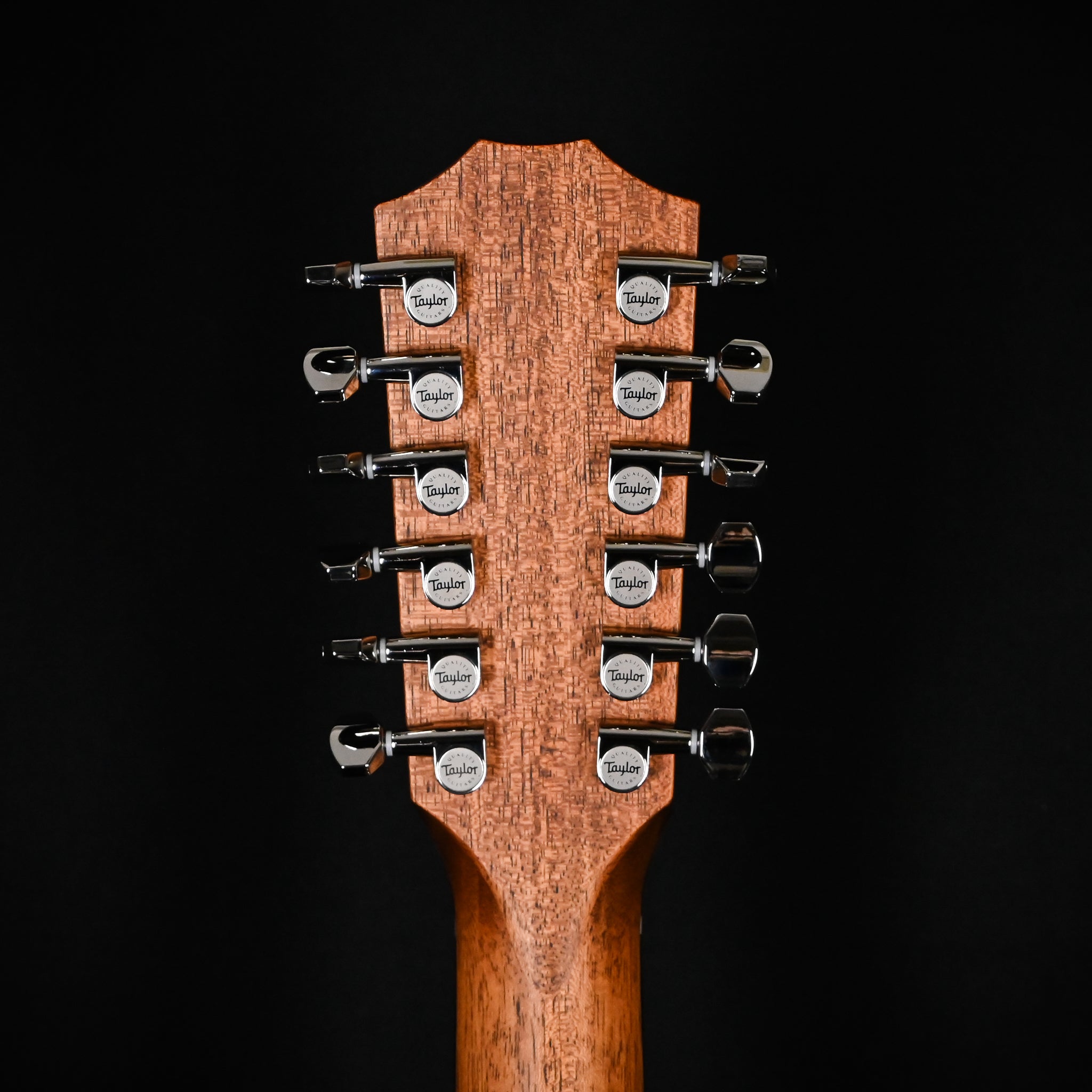 Taylor 354ce Studio Special Edition 12-String w/ Sitka Spruce Top & Sapele Back and Sides Acoustic/ Electric- Honeyburst 2026 (2202046389)