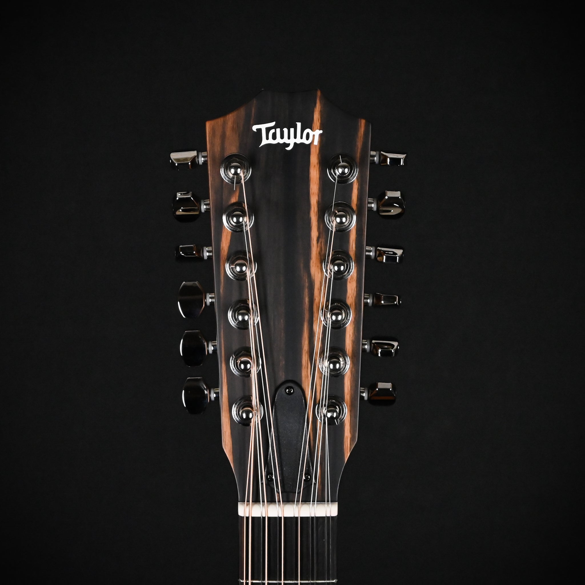 Taylor 354ce Studio Special Edition 12-String w/ Sitka Spruce Top & Sapele Back and Sides Acoustic/ Electric- Honeyburst 2026 (2202046389)