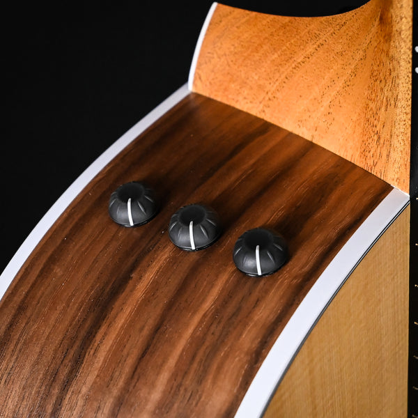 Taylor 214ce-N Nylon Acoustic Guitar- Natural (2211065526)