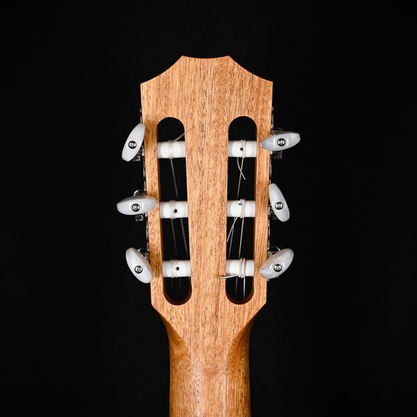 Taylor 214ce-N Nylon Acoustic Guitar- Natural (2211065526)