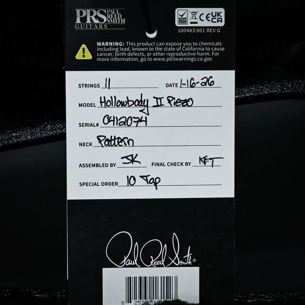 PRS Hollowbody II Piezo w/ 10 Top Electric Guitar- Custom Color 2025 (0412074)