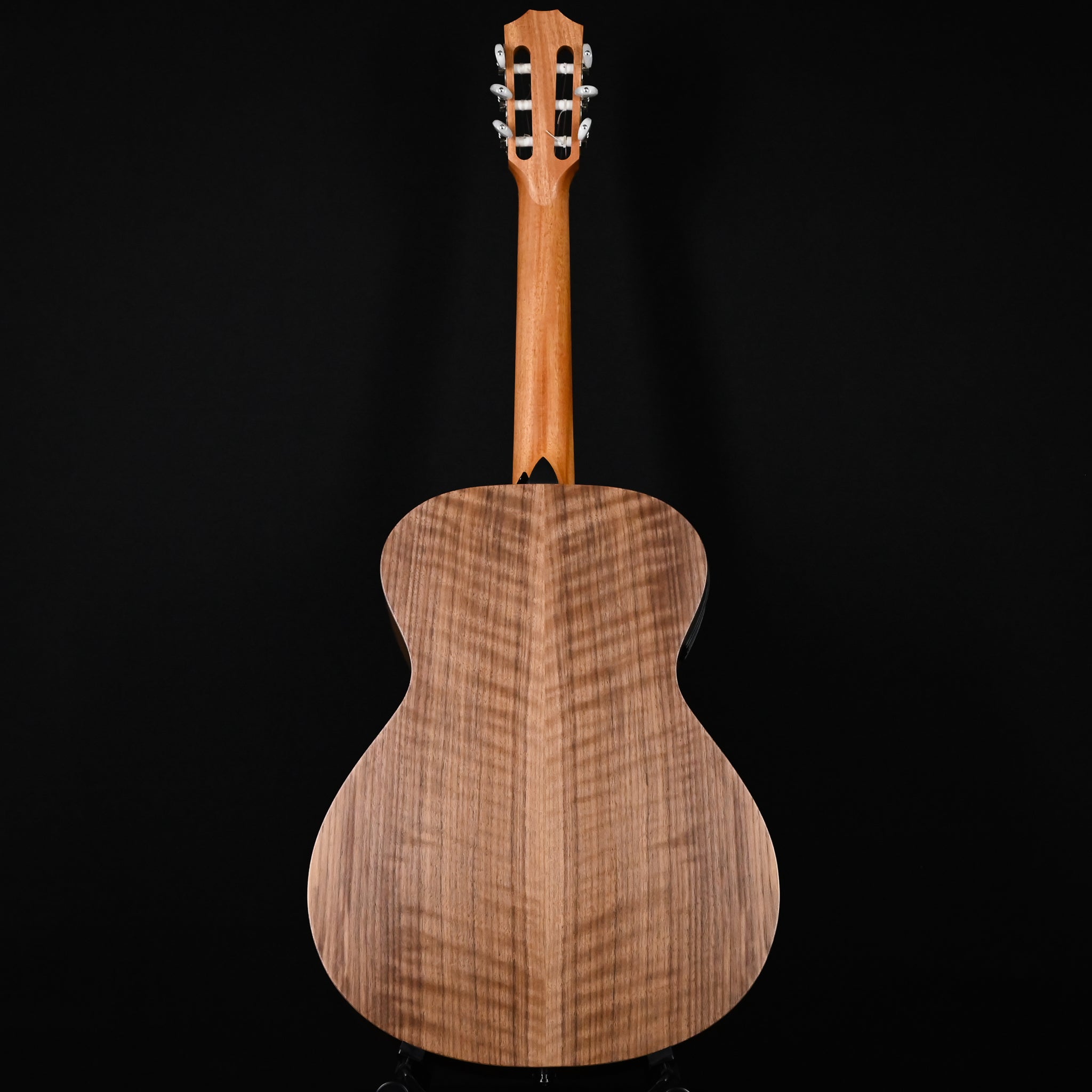 Taylor Academy 12e-N Nylon w/ Torrefied Spruce Top & Walnut Back and SidesAcoustic Guitar 2025 (2211045108)