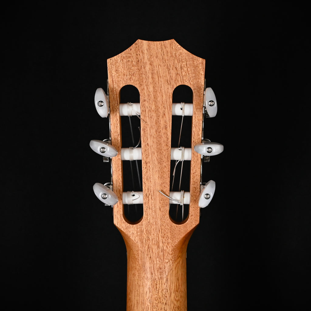 Taylor Academy 12e-N Nylon w/ Torrefied Spruce Top & Walnut Back and SidesAcoustic Guitar 2025 (2211045108)