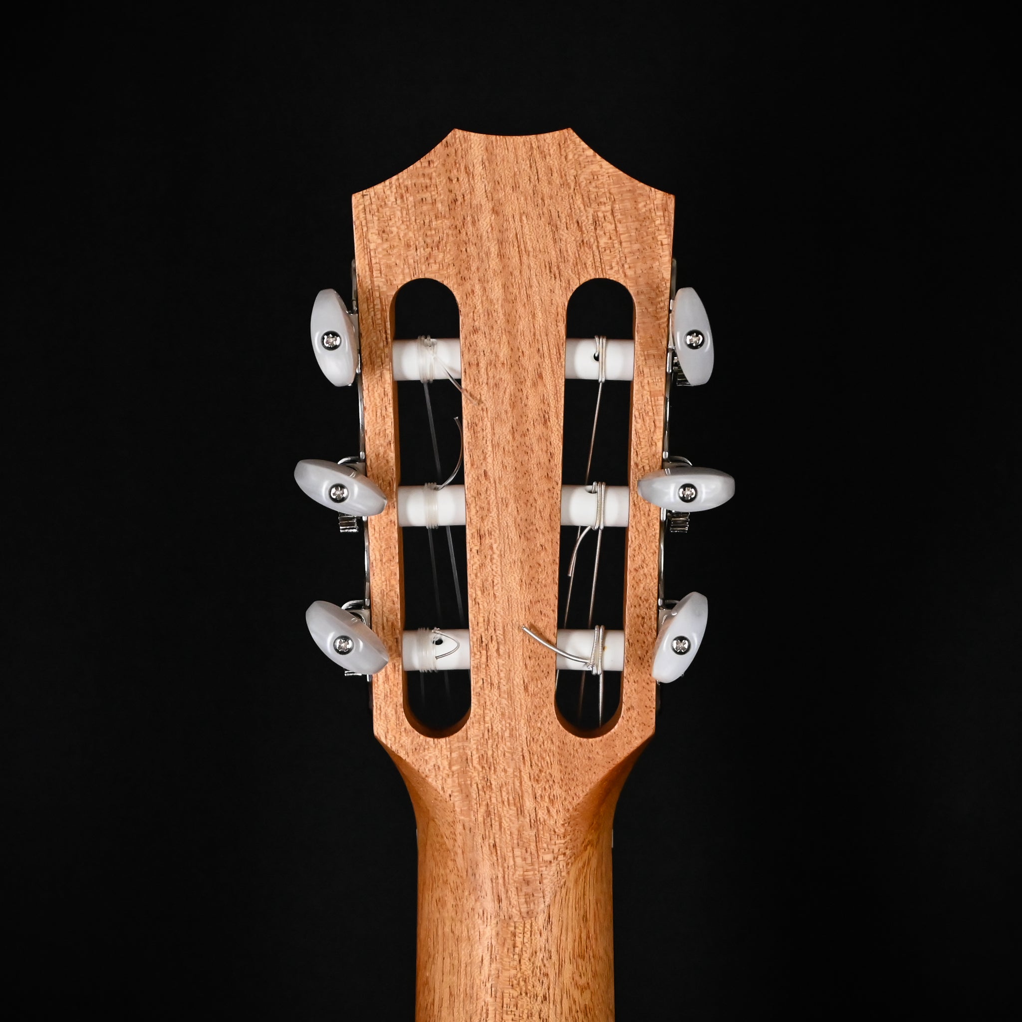 Taylor Academy 12e-N Nylon w/ Torrefied Spruce Top & Walnut Back and SidesAcoustic Guitar 2025 (2211045108)