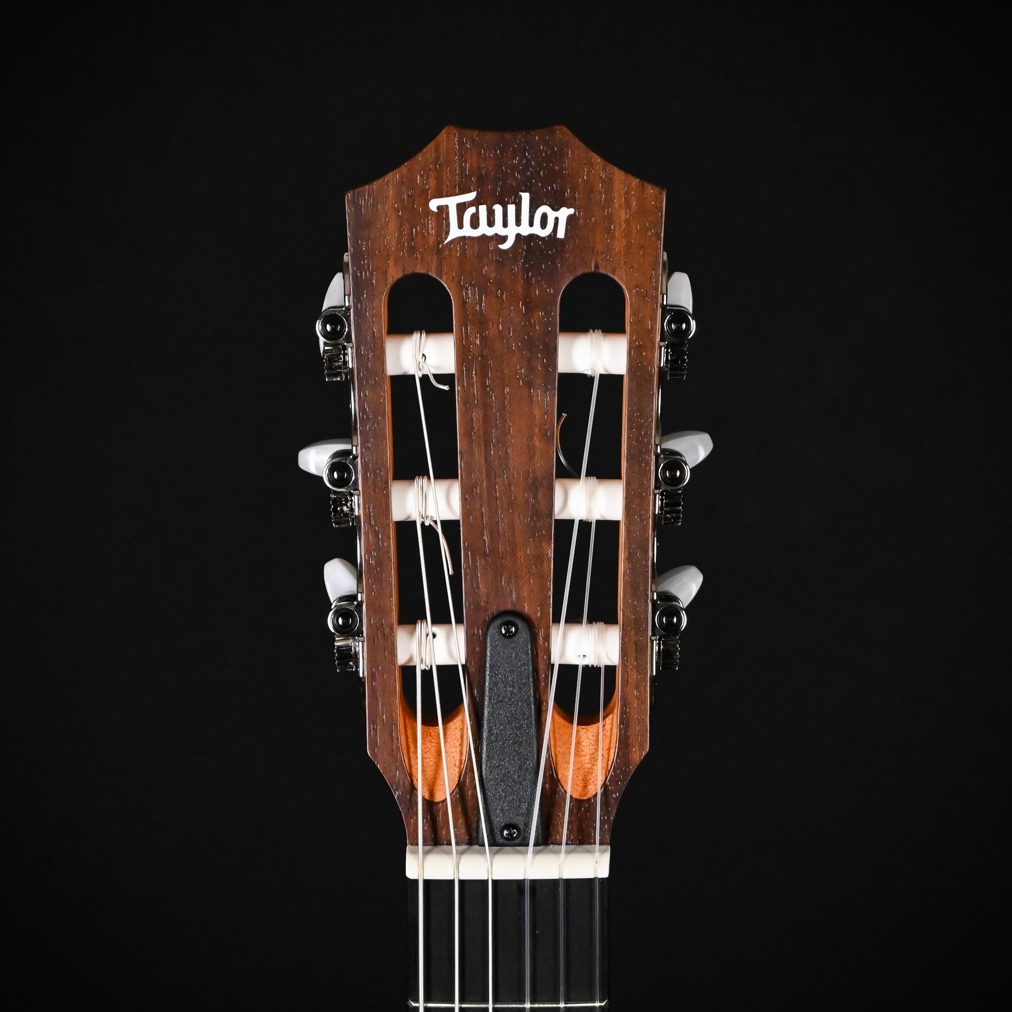Taylor Academy 12e-N Nylon w/ Torrefied Spruce Top & Walnut Back and SidesAcoustic Guitar 2025 (2211045108)