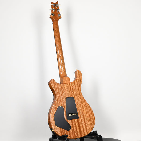 PRS DGT w/ 10-Top & Birds Inlays- Custom Color 2026 (0415493)