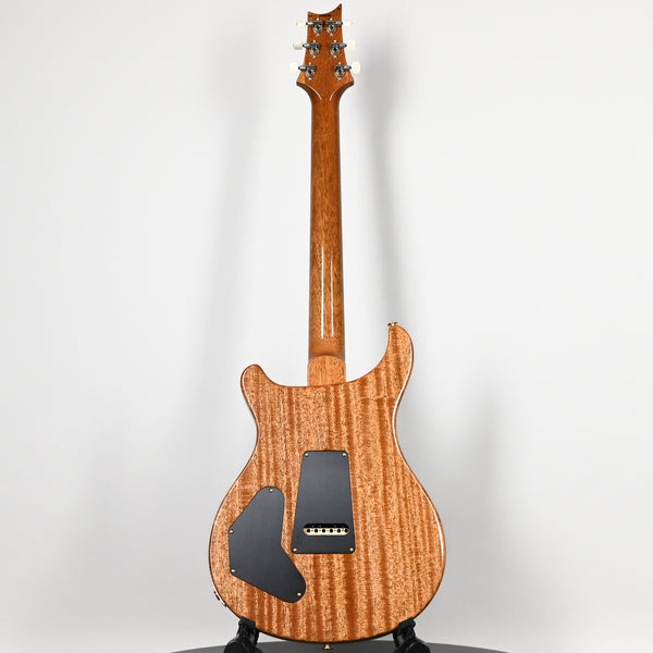PRS DGT w/ 10-Top & Birds Inlays- Custom Color 2026 (0415493)