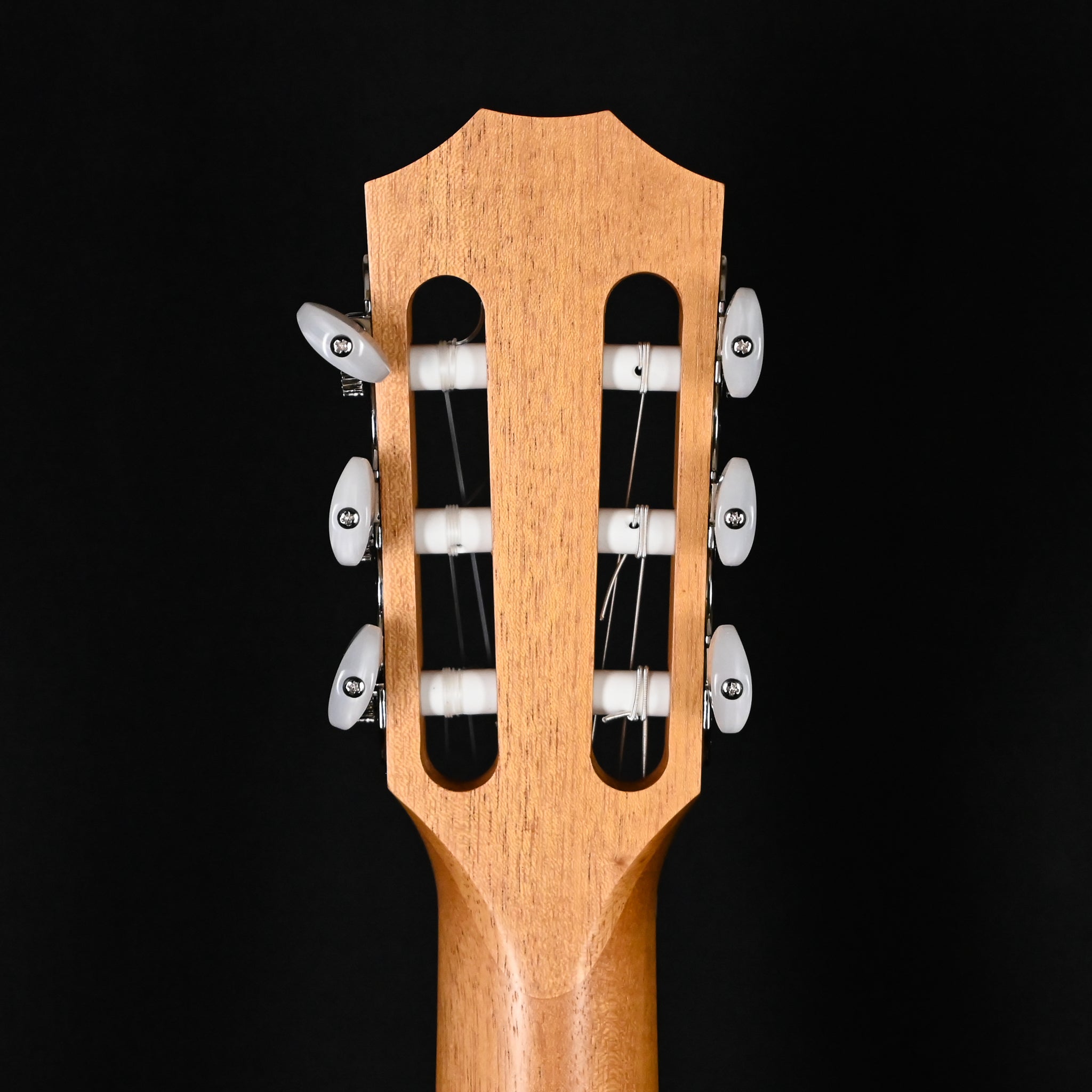 Taylor 112ce-N Nylon w/ Torrefied Spruce Top & Layered Sapele Back and Sides Acoustic-Electric Guitar 2025 (2211085081)